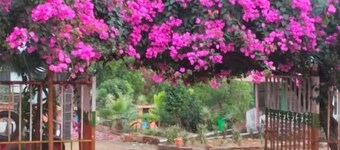 Murlee Pure Veg Resort