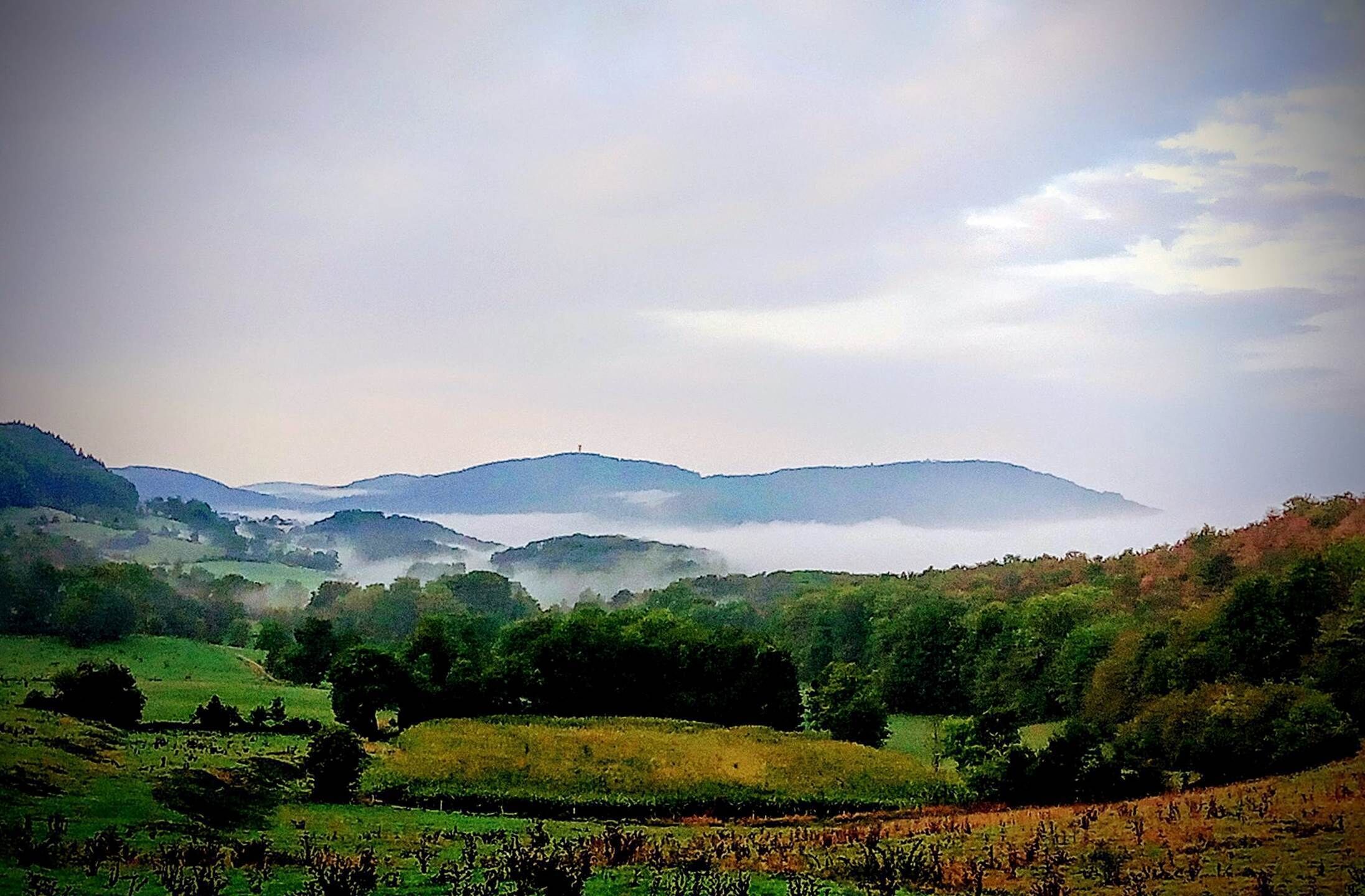 Un paysage vallonné, avec des collines douces, une vallée et une atmosphère brumeuse.