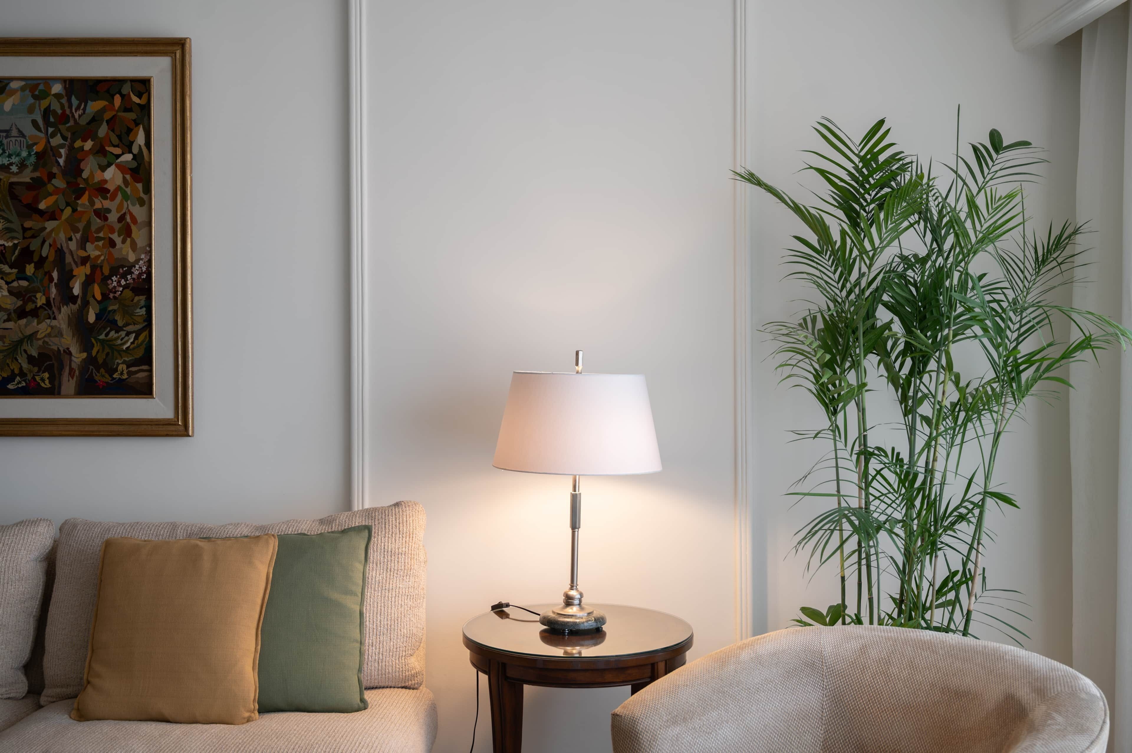 Una sala de estar con un sofá, una mesita redonda con una lámpara y una planta verde grande.