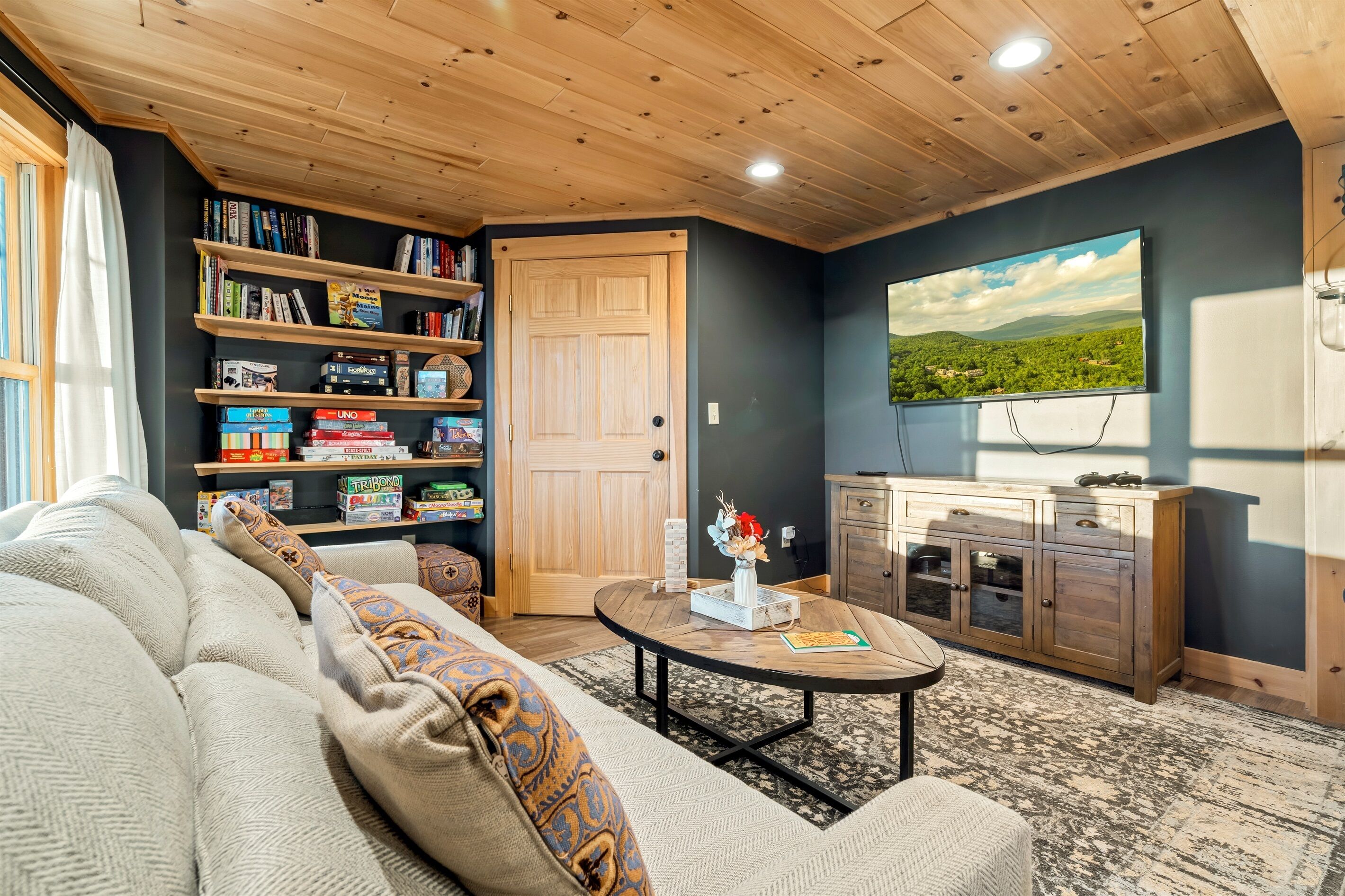 Älytelevisio, takka, videopelejä, kirjoja