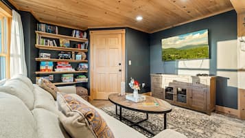 Älytelevisio, takka, videopelejä, kirjoja