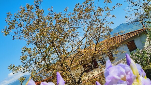 Oklassificerad bild, 1 av 20, knapp