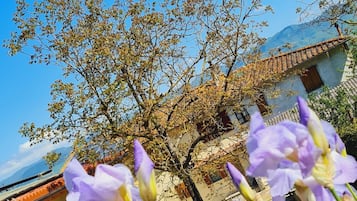Detalle exterior