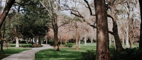 Property grounds