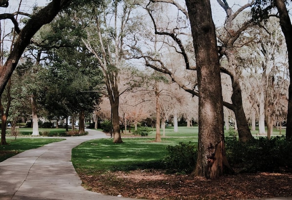 Parco della struttura