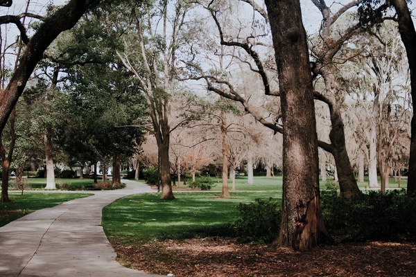 See the sweeping driveway for effortless arrivals and departures.
