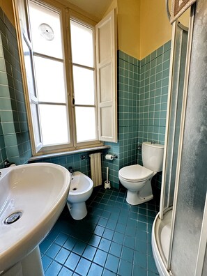 Shower, hair dryer, bidet, towels