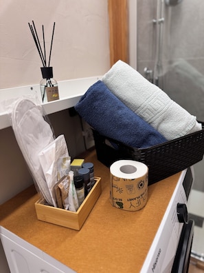 Douche, séchoir à cheveux, bidet, serviettes fournies