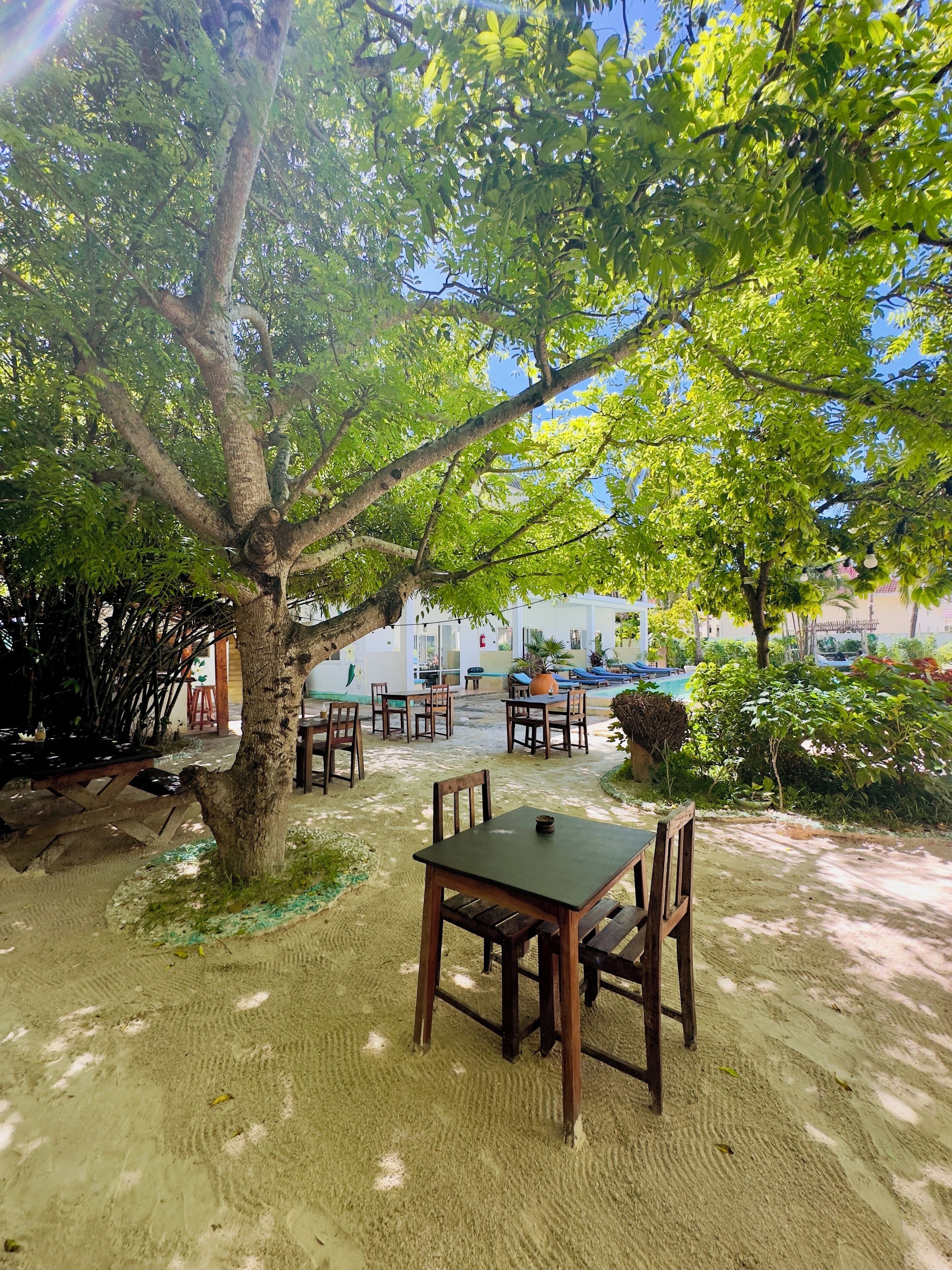 매일 유럽식 무료 아침 식사 포함