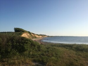 A coastal landscape with a sandy beach, grassy dunes, and a clear sky.