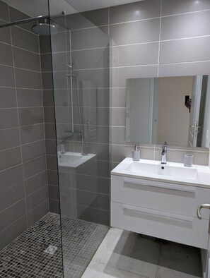 Shower, hair dryer, towels