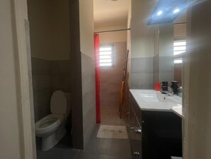Een badkamer met toilet, wastafel en douche.