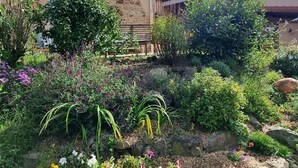 Un jardin agrémenté de diverses plantes et fleurs, un mur en pierre et un banc en bois.