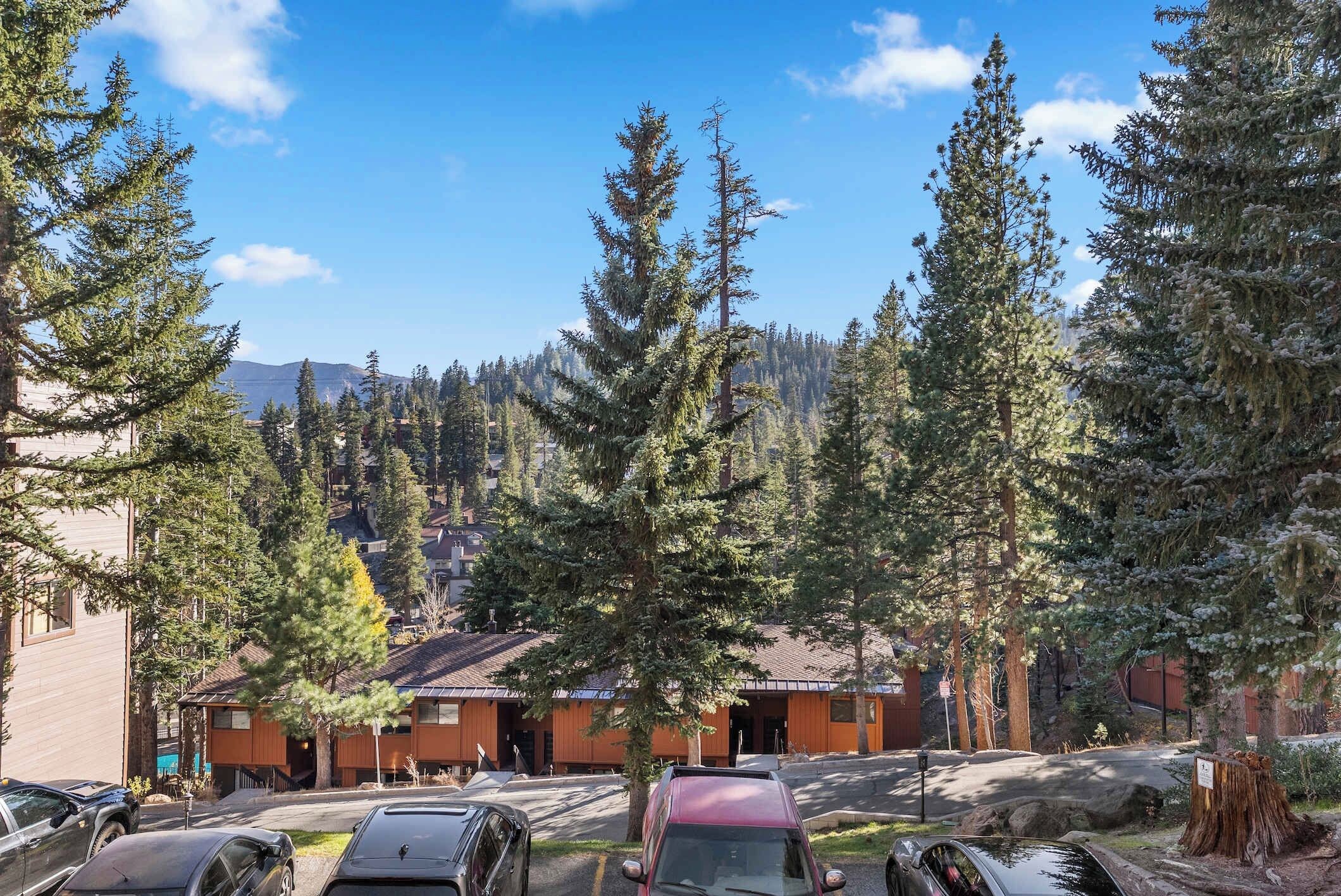 A building with a wooden facade, a parking lot with cars, and a forested background.