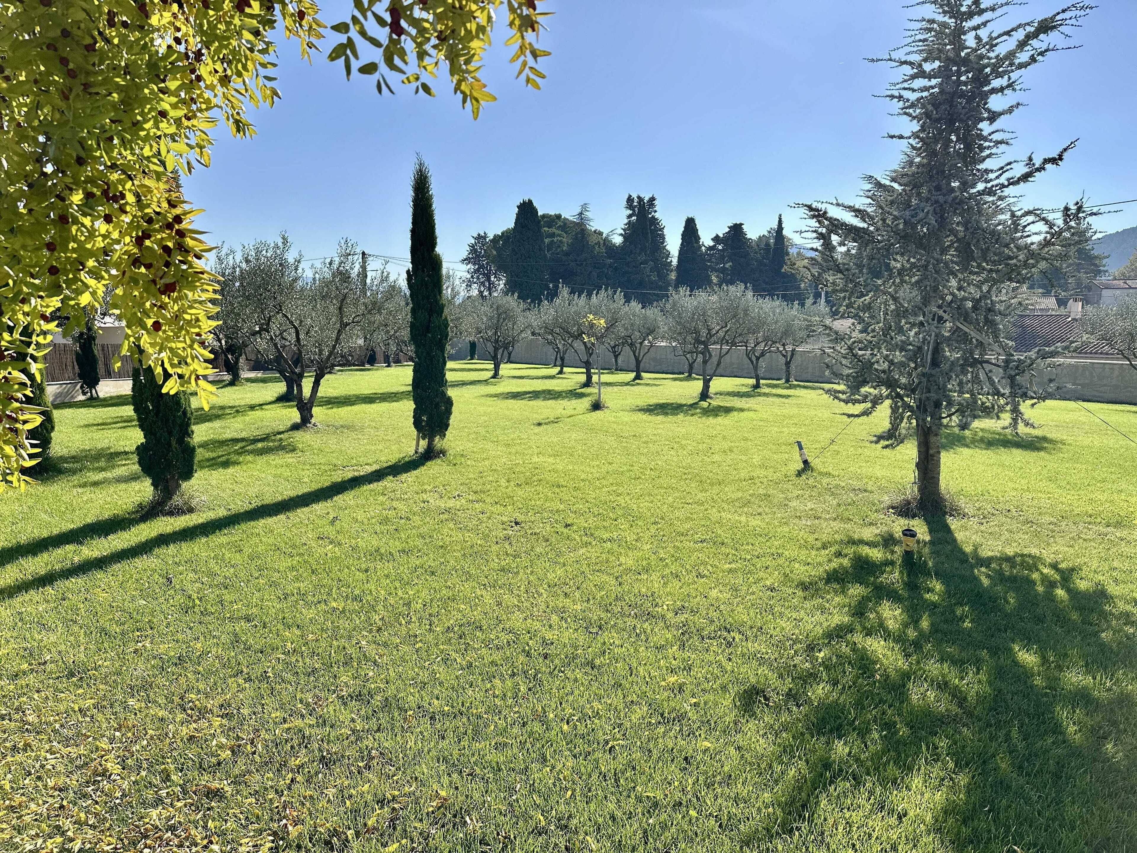 Un'area verde ben curata con alberi potati e un cielo sereno.