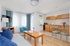 Fernseher, Arbeitsbereiche