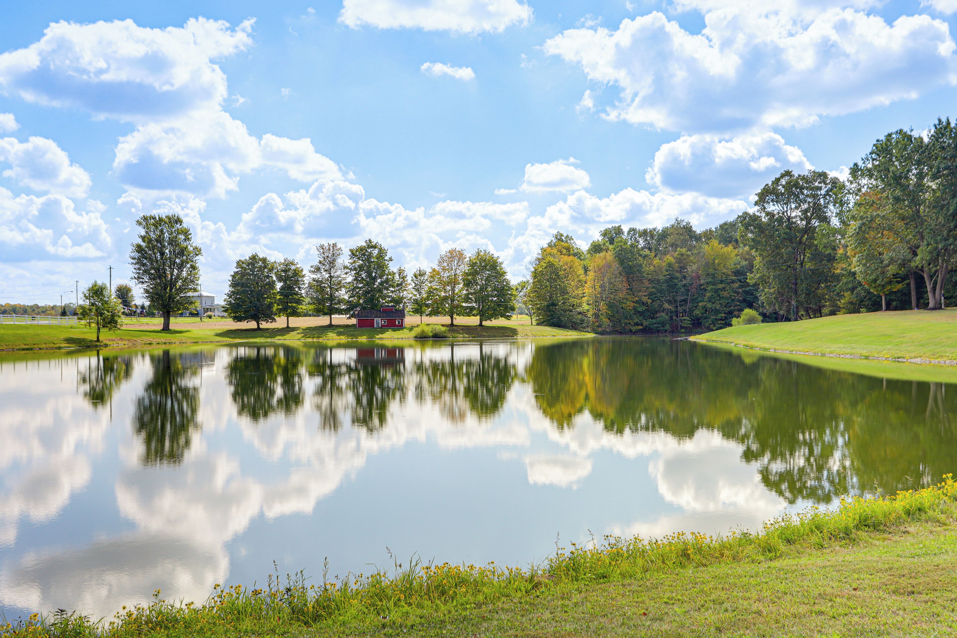 A serene landscape with a pond reflecting trees and a small building.
