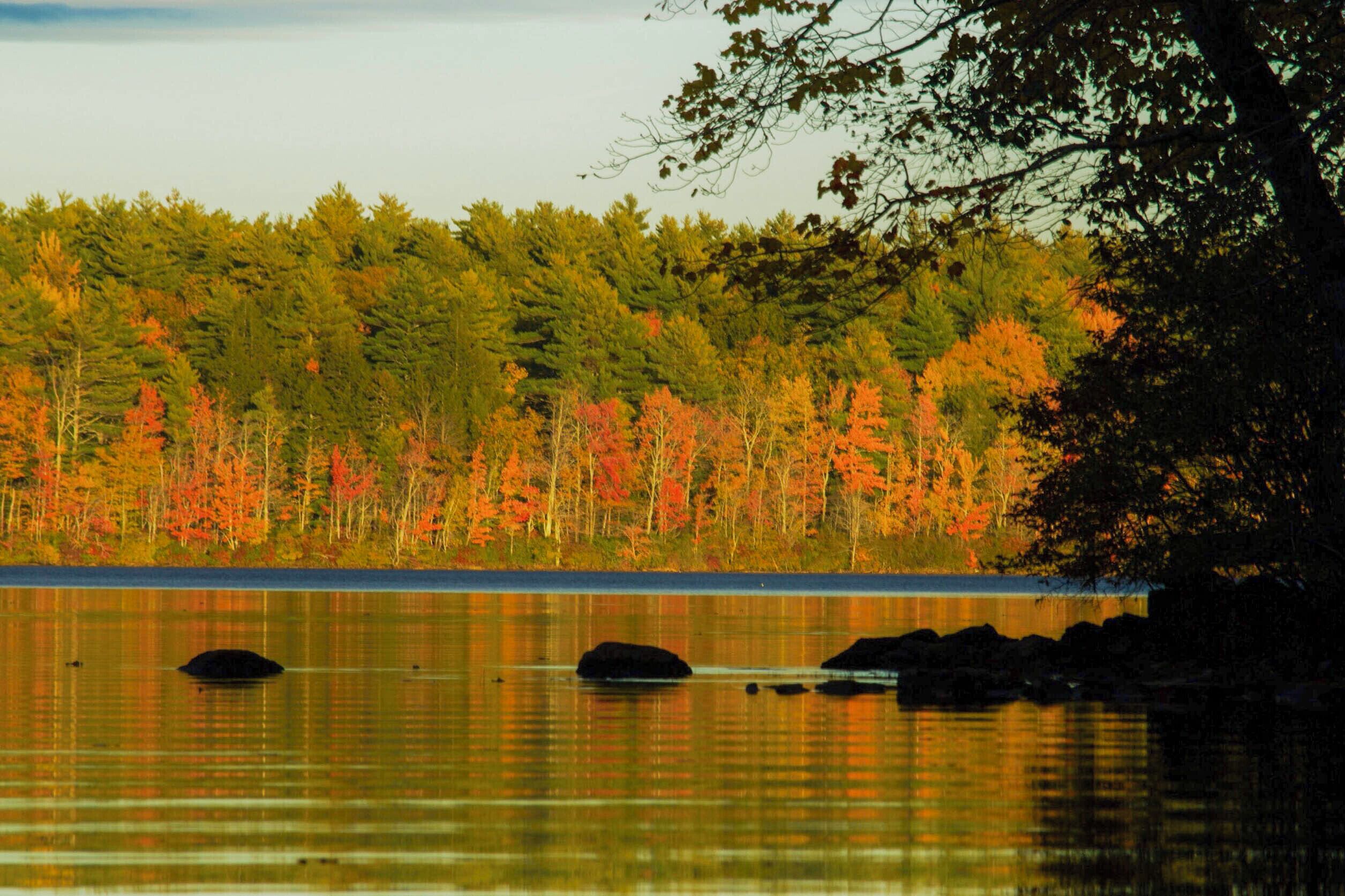 Un lac paisible où se reflètent les arbres et les rochers.