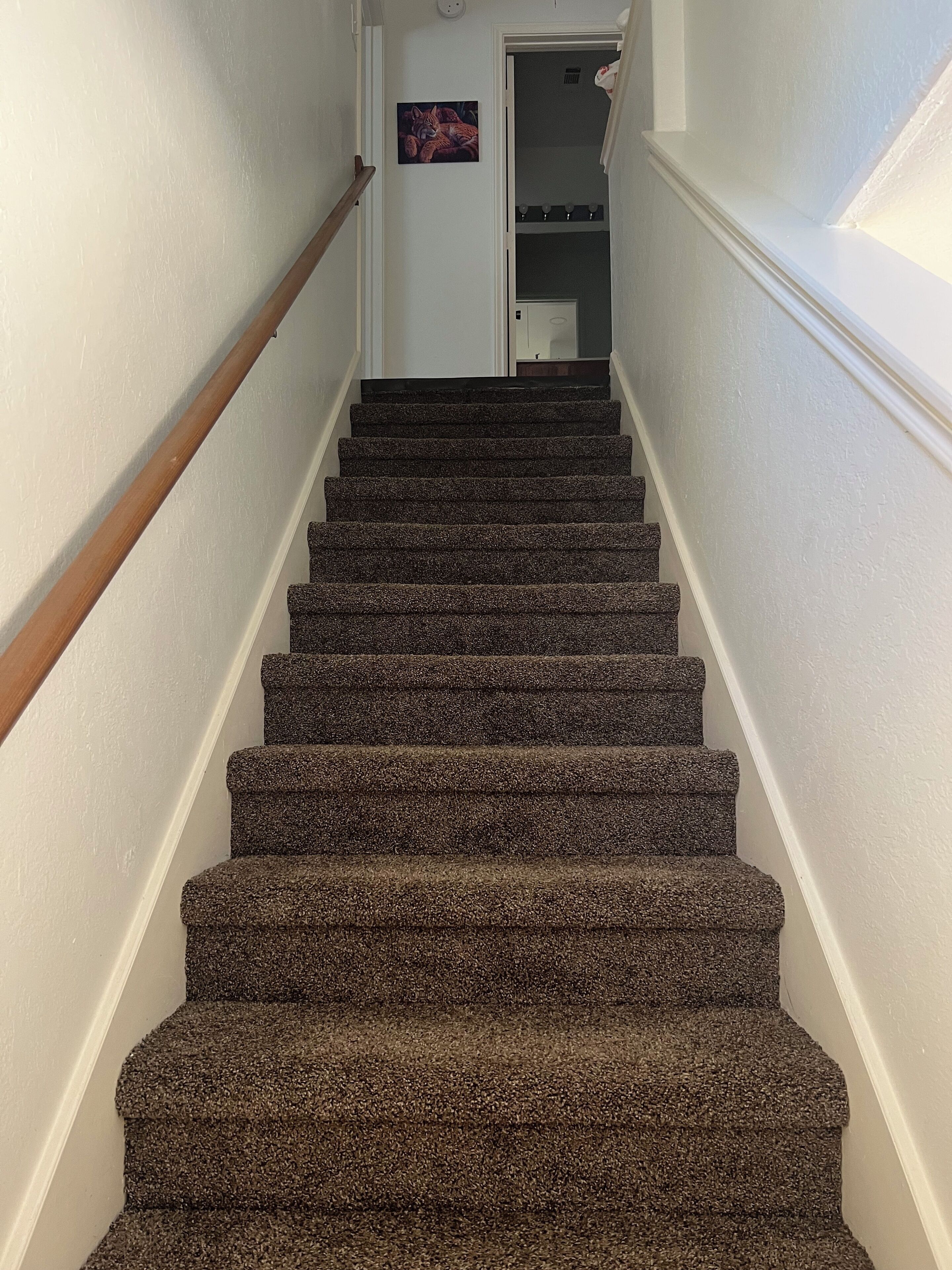 Handrails in stairways