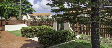 A residential area with a paved driveway, a wooden fence, and a well-maintained lawn.