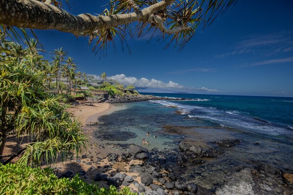 Condo, 1 Bedroom | Beach