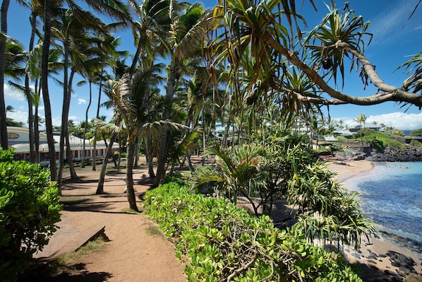 Condo, 1 Bedroom | Beach