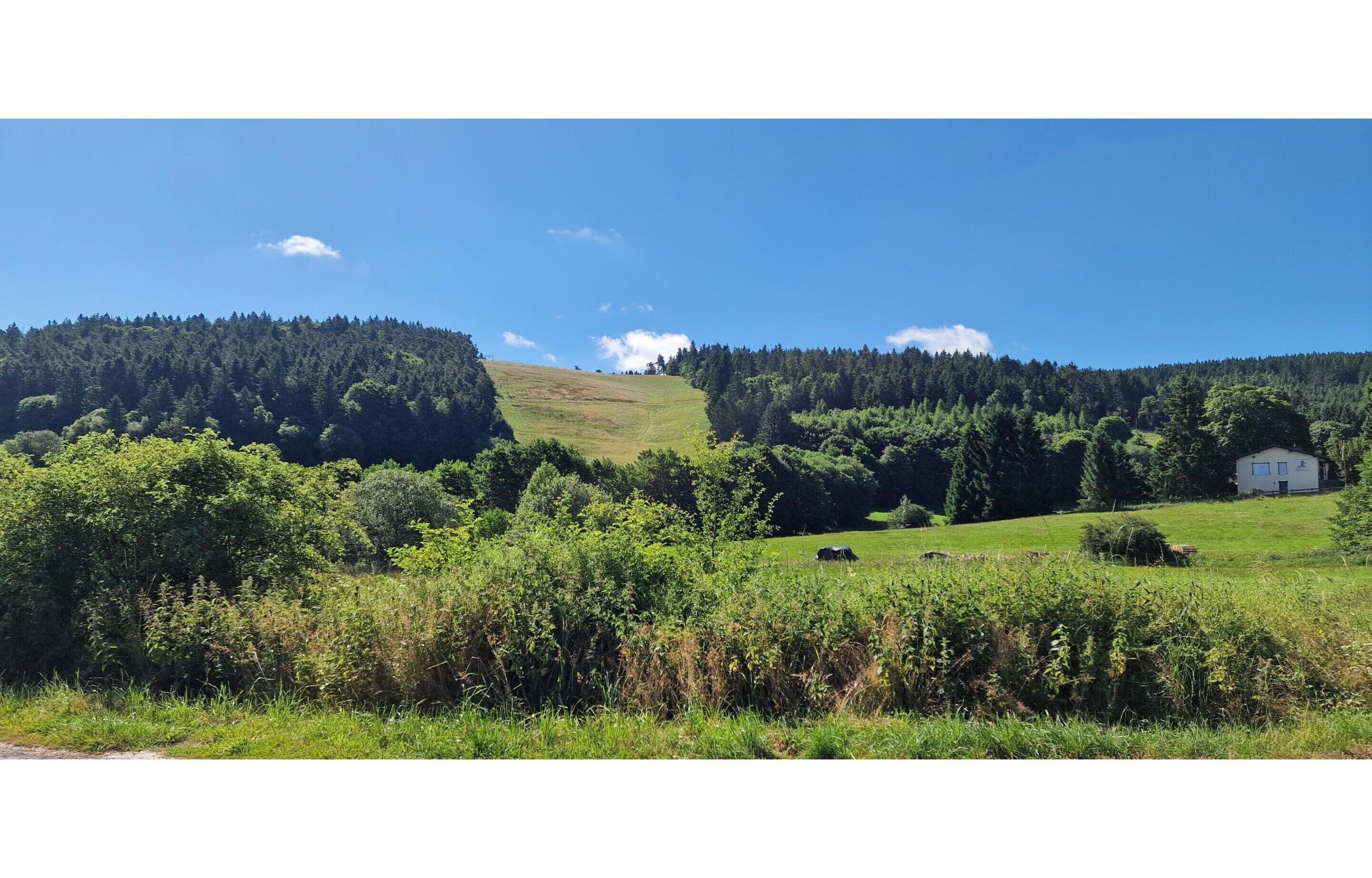 Apartment | View from property