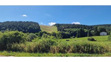 Apartment | View from property