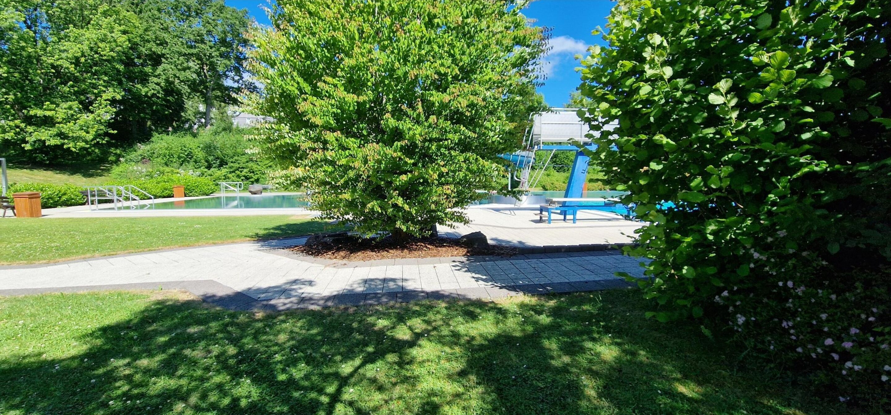 A park with a playground, a tree, and a paved walkway.