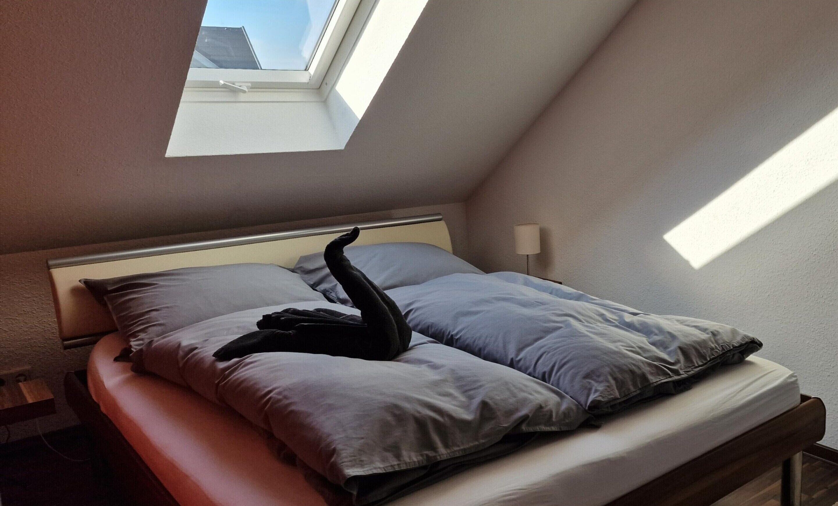 Apartment | 2 bedrooms, individually furnished