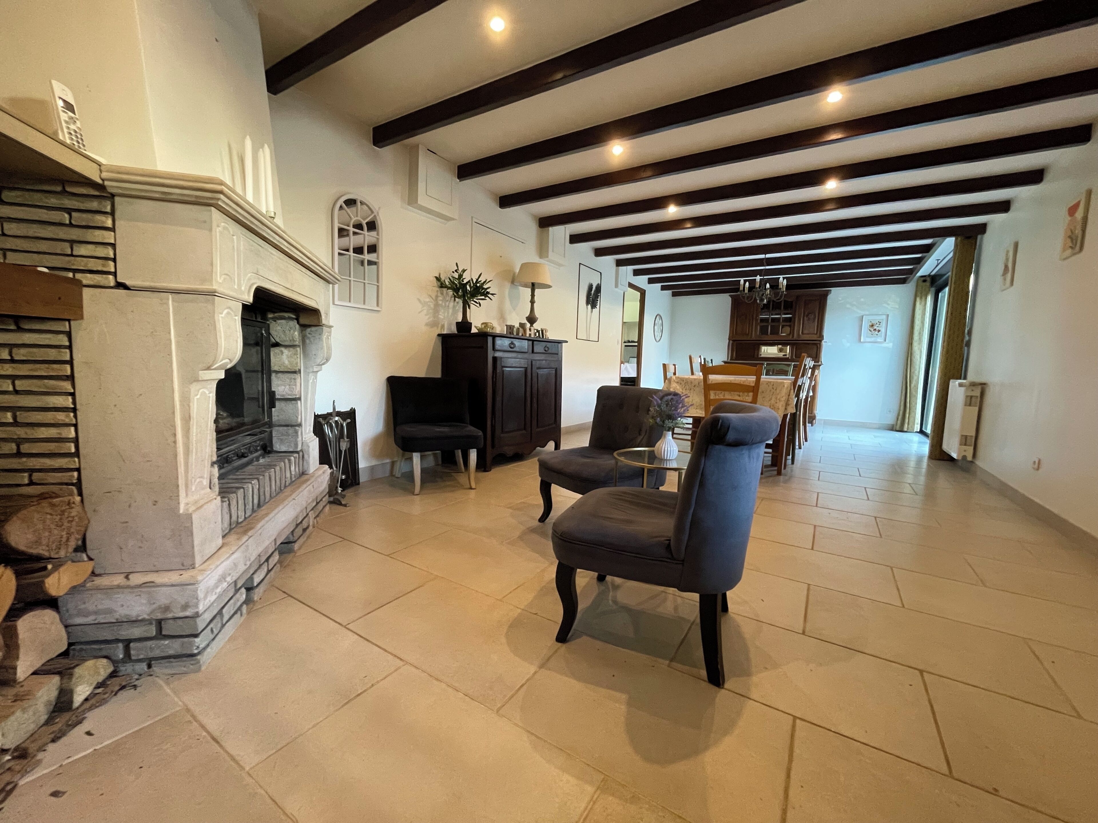 Télévision, cheminée, livres