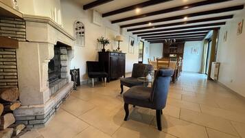 TV, fireplace, books