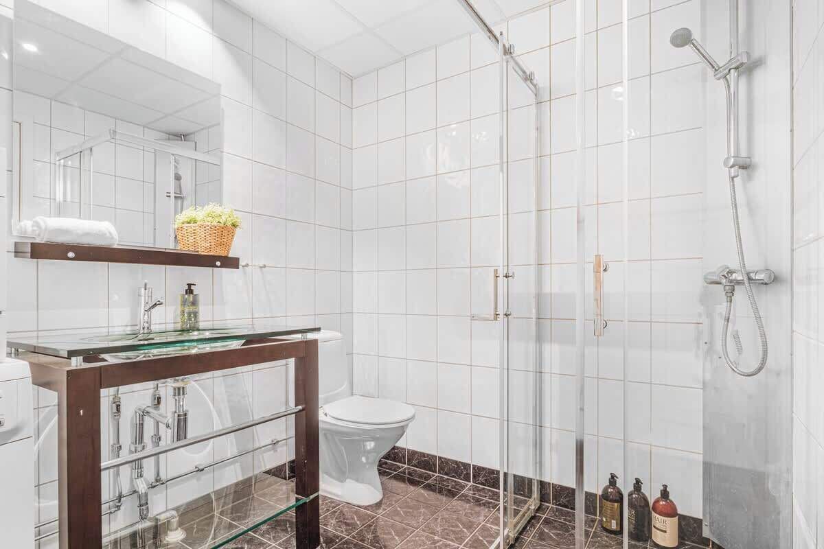 Chuveiro, secador de cabelo, toalhas de banho, shampoo