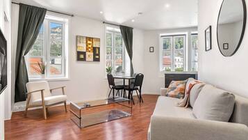 Fernseher, Arbeitsbereiche