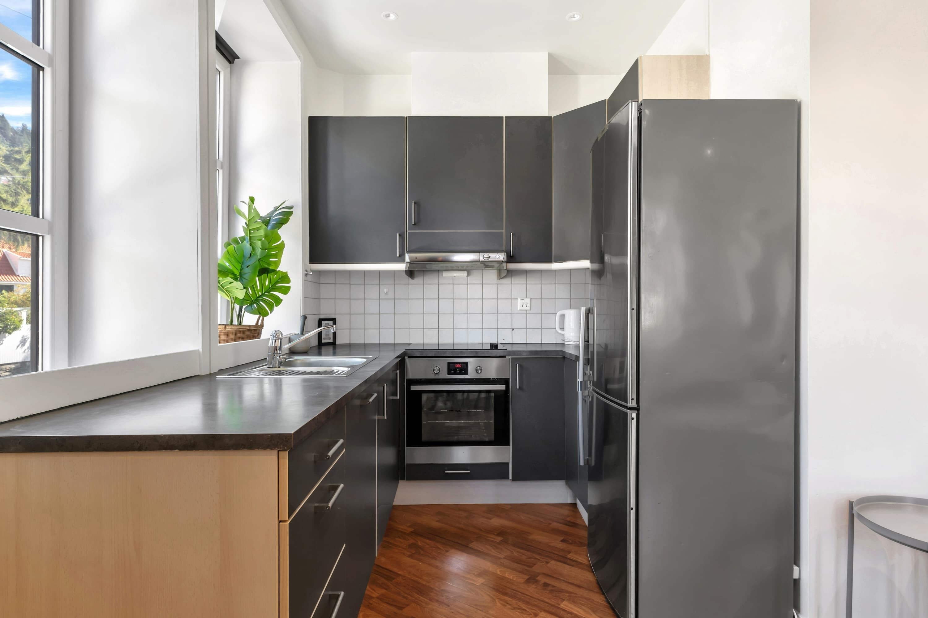 Fridge, oven, stovetop, dishwasher