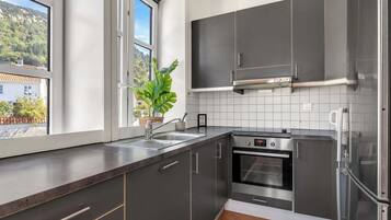 Kühlschrank, Ofen, Herdplatte, Geschirrspüler