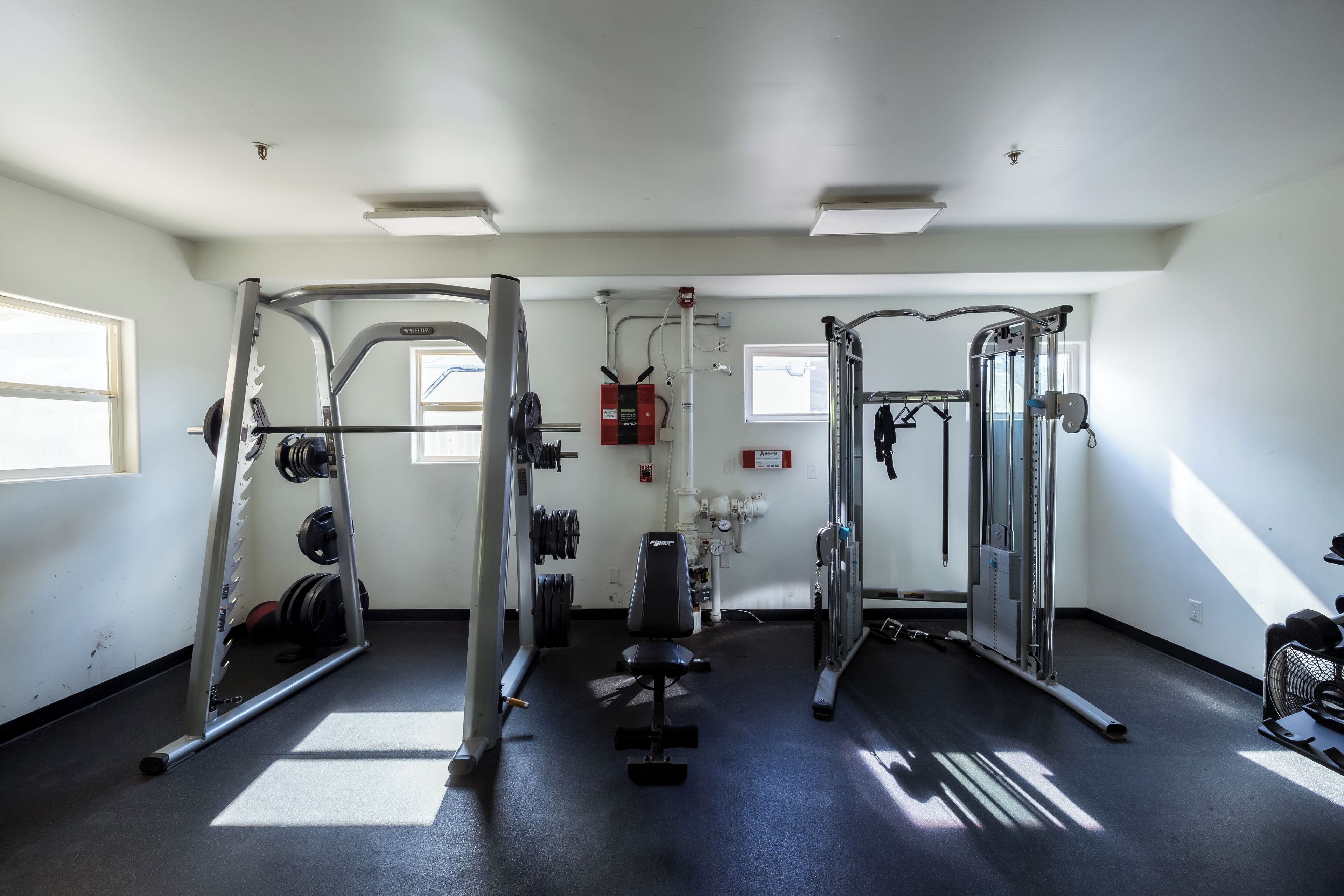 Een sportschool met gewichthefapparatuur, een bank en een power rack.