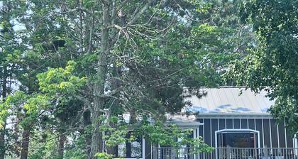 Erskine Escape: kayak, paddle board, paddle boat+