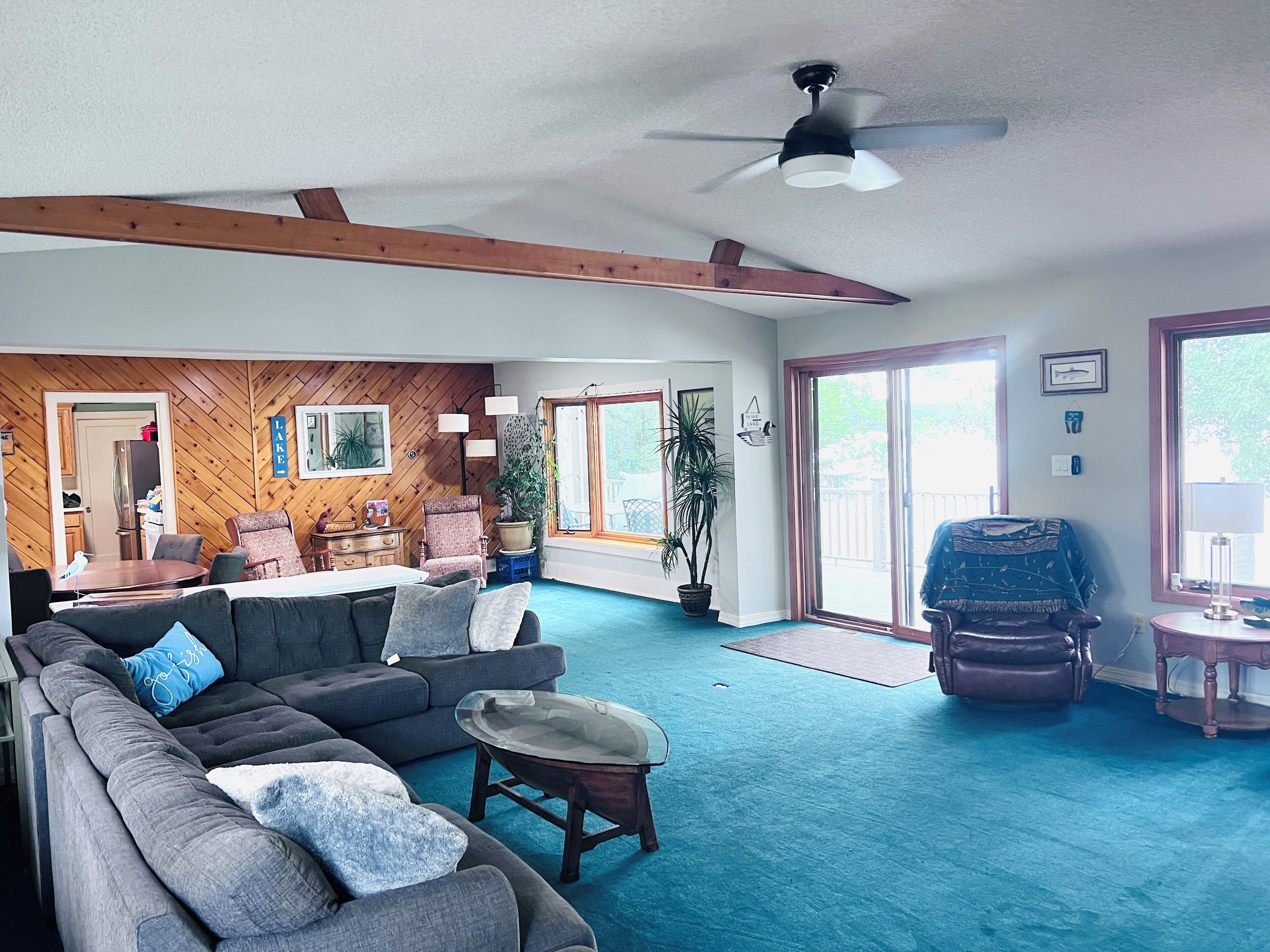 Smart TV, fireplace, DVD player, books