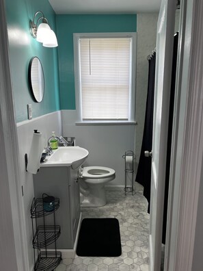 Hair dryer, towels, soap, toilet paper