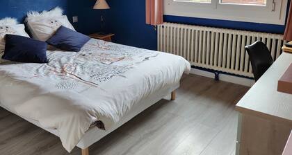 Les Balcons du Mont-Blanc: village center apartment