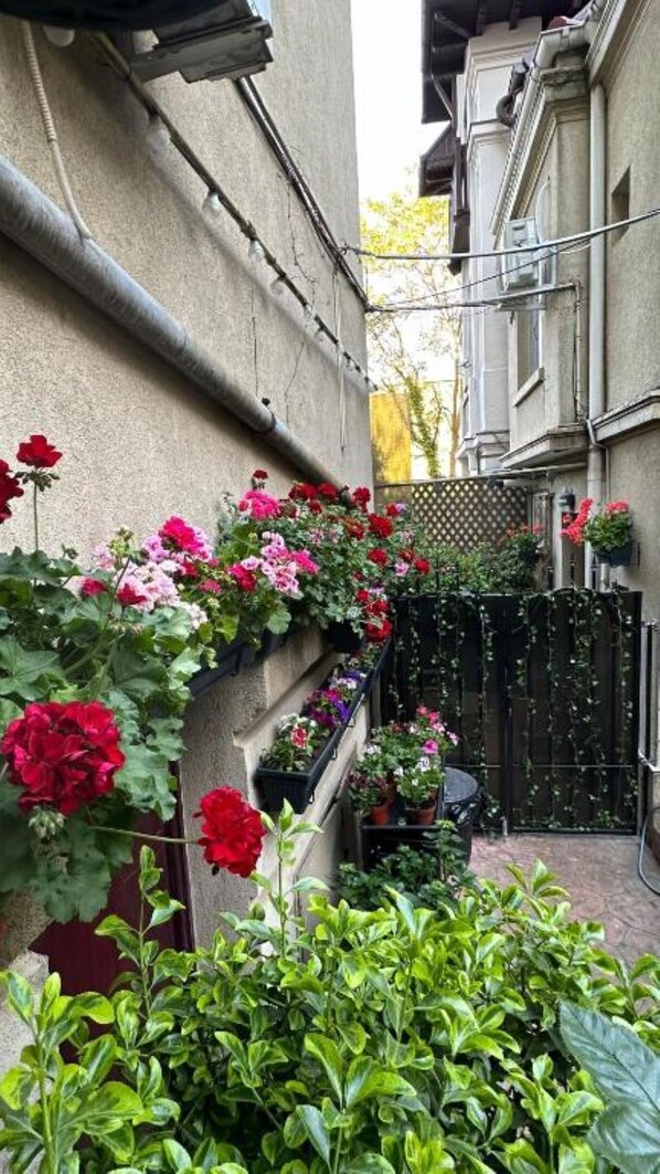 Enceinte de l’hébergement