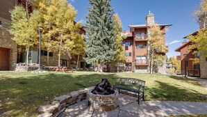 Une cour avec un foyer en pierre, des bancs et un grand arbre à feuilles persistantes.