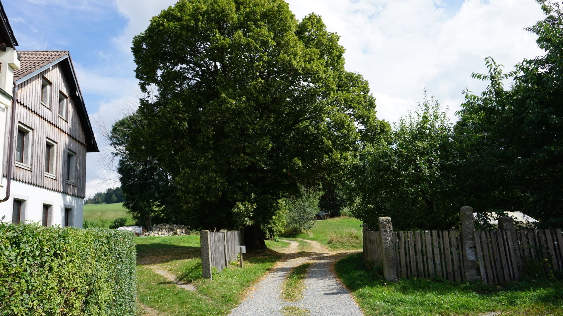 Jardines del alojamiento