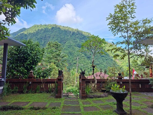 Mountain view - Sekumpul Guest House (Sawan)