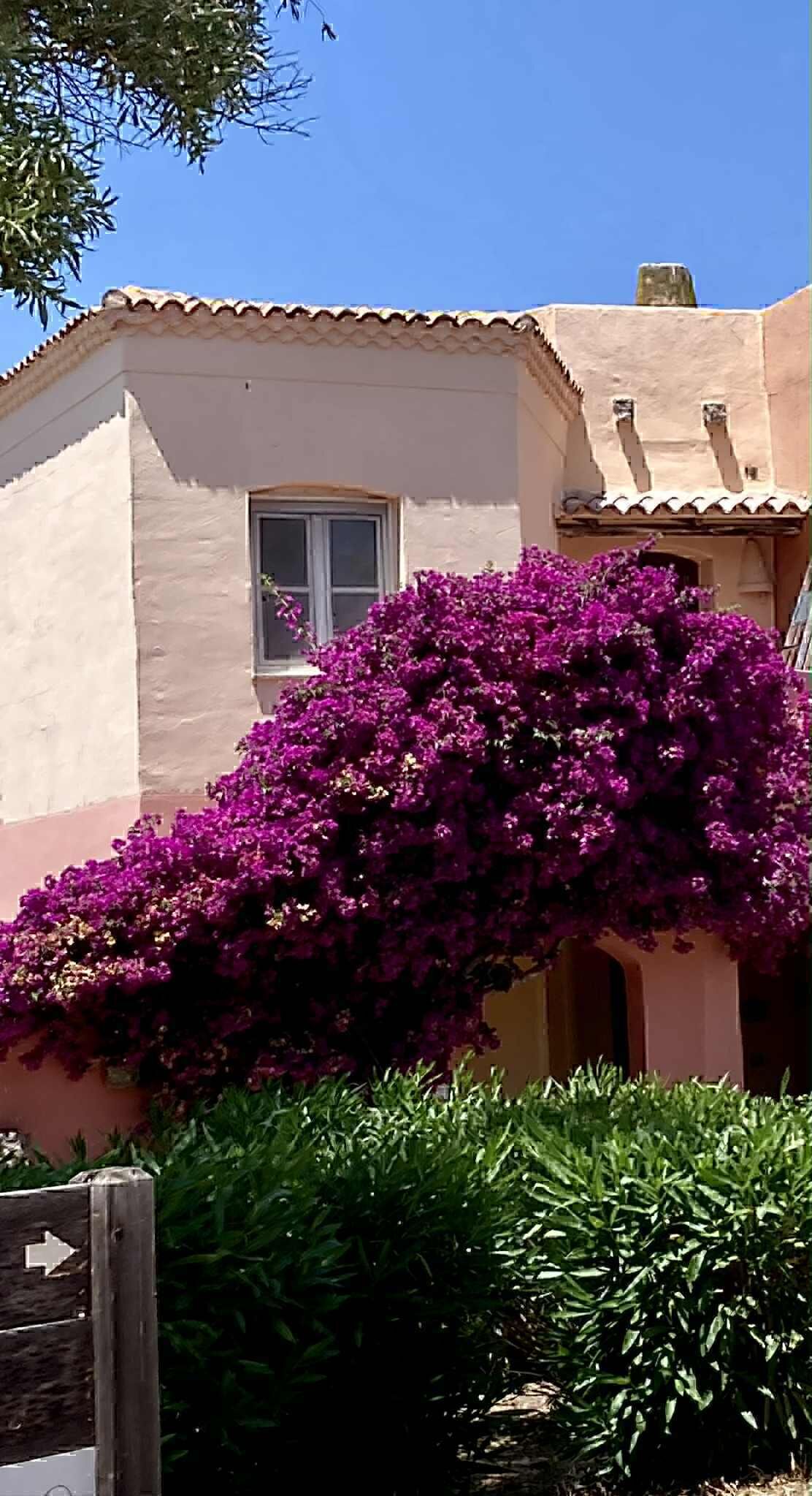 Un edificio con una finestra e un cespuglio di fiori viola davanti.