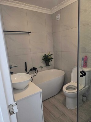 Hair dryer, toilet paper