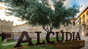 A large metal sign with the word "ALCÚDIA" in the foreground, with a stone wall and a tree in the background. - Fantastic finca with a large pool and just a few steps from Alcúdia's old town (Alcúdia)