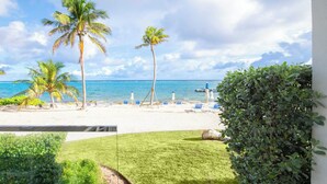Une plage bordée de palmiers, une mer d’un bleu limpide et une rangée de chaises longues bleues.