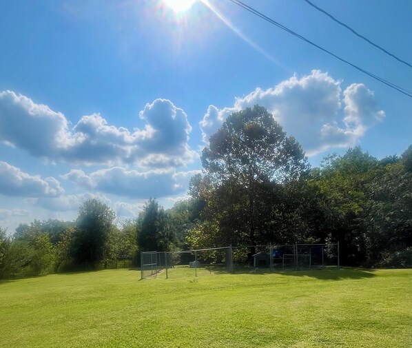 Property grounds - The Relaxed Rental (Hillsboro)